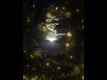 南无弥勒佛 (Effects)