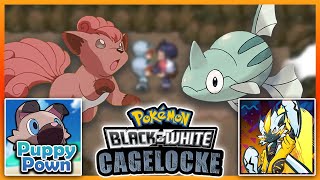 THE FIRST CAGEMATCH!! || Pokemon Black and White Cagelocke EP02