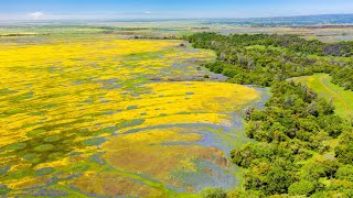 Spring at North Table Mountain, California (4K HDR)