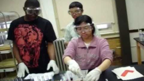 Chemistry Red Cabbage Project Part 4