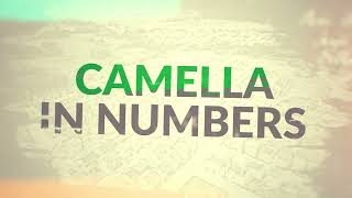 Camella in Numbers