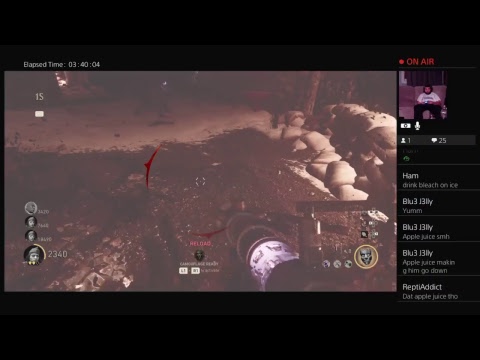 firefly 2 WW2 Zombies EE Run