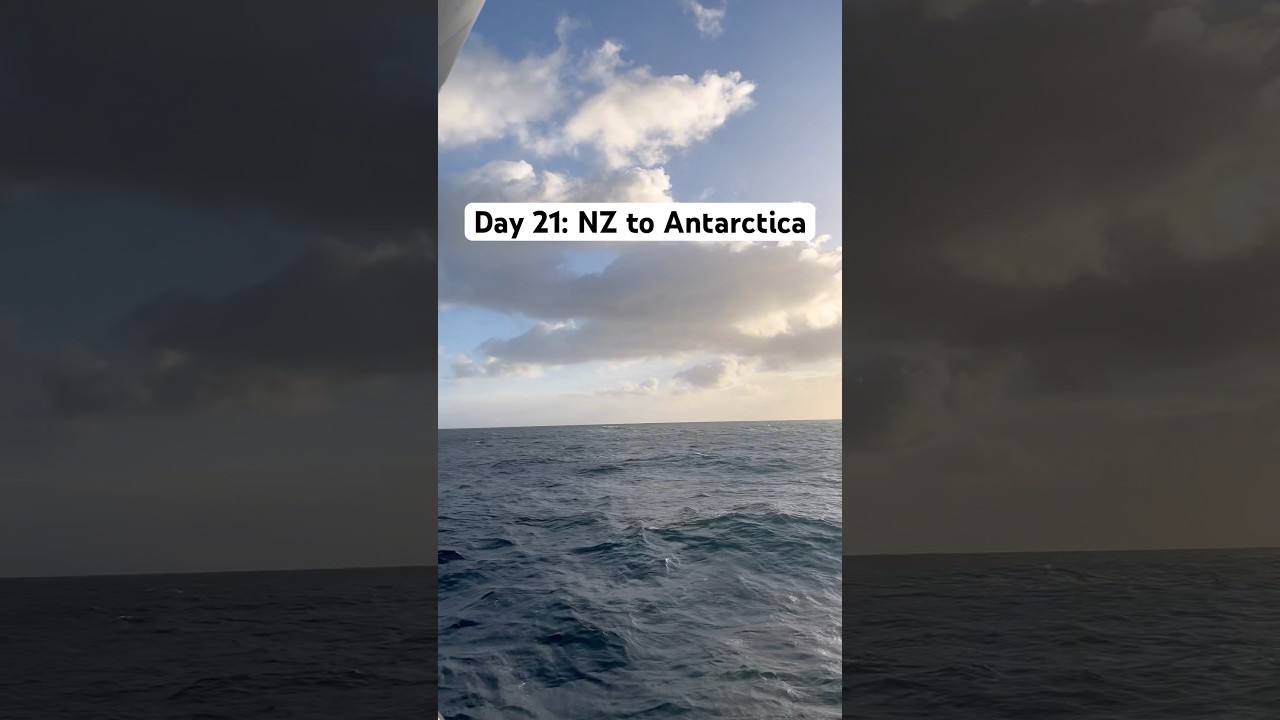 To Antarctica on a ship. Day 21