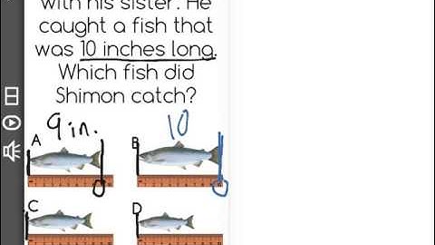 [K.MD.1-4.0] Concept of Measurement - Common Core Standard
