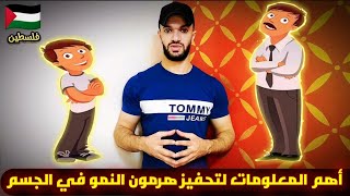 أهم وأرخص حل لزيادة هرمون النمو في الجسم طبيعيا/لأنقاص الوزن /وزيادة الطول للأطفال /محاربة الشيخوخة?