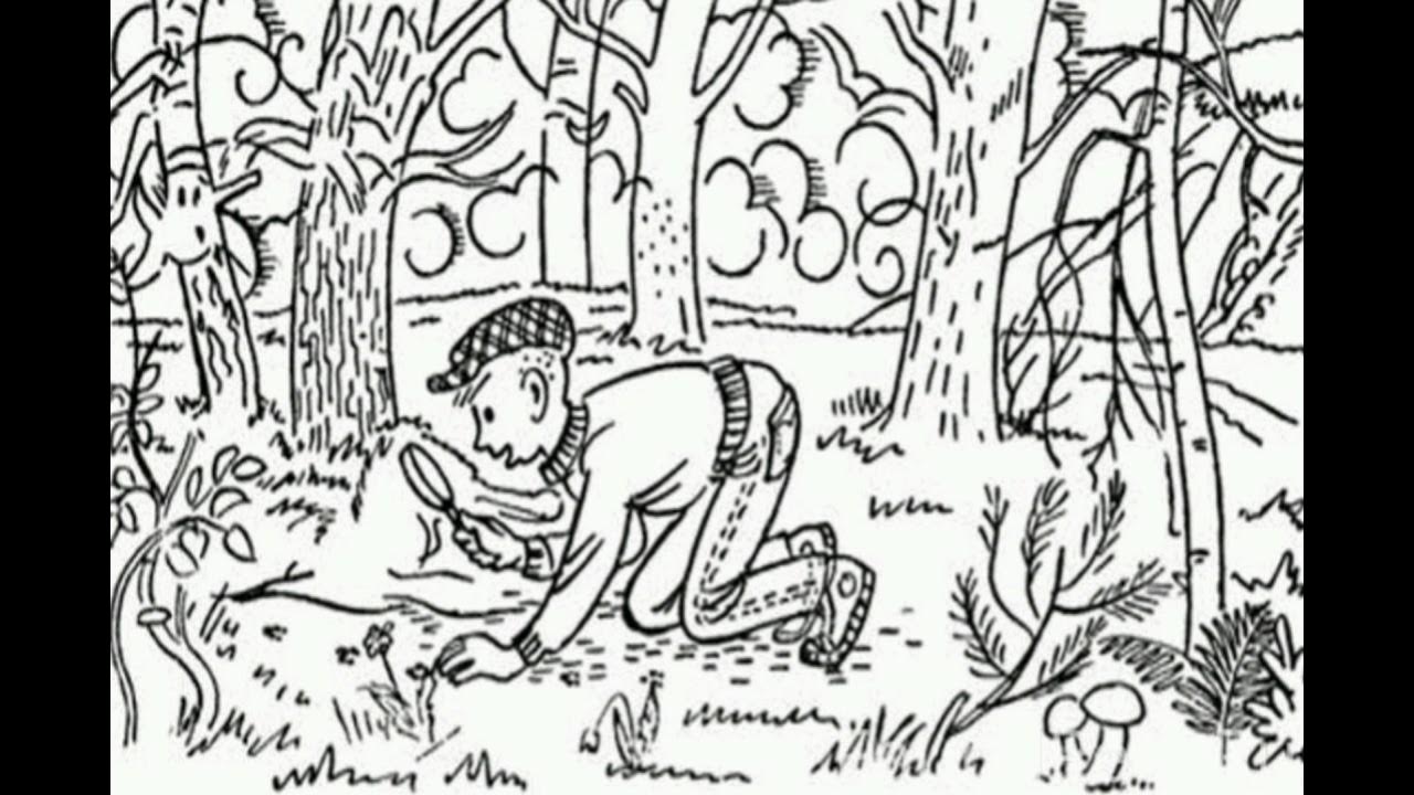 Найди на картинке спрятанных животных. Найди что спрятано. Найди на картинке спрятанных животных. А где он спрятан. Какие домашние животные спрятались на картинке.