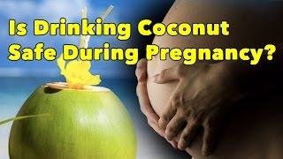 Is Drinking Coconut Safe During Pregnancy- SheCare