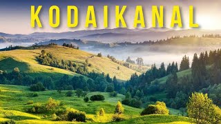 Exploring Kodaikanal | Relaxing Short Video | DJI OM4