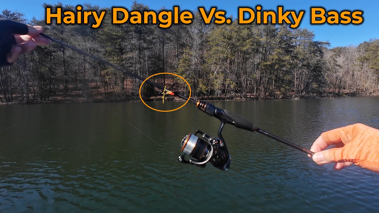 I Fish Bass Fish: A Marathon