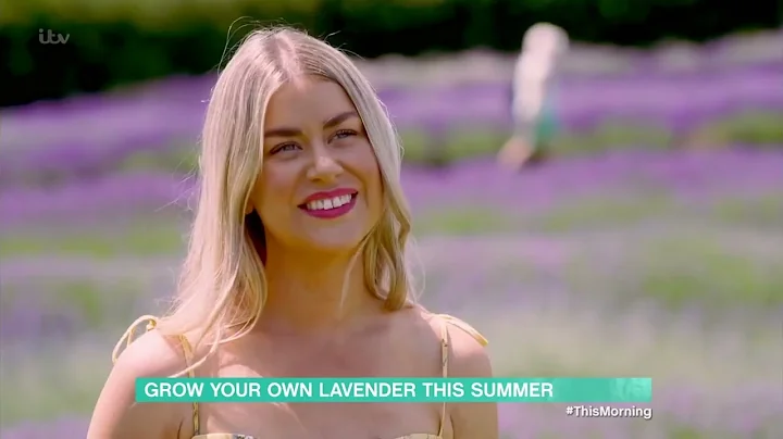 Lavender season with Daisy Payne - 22nd June 2022