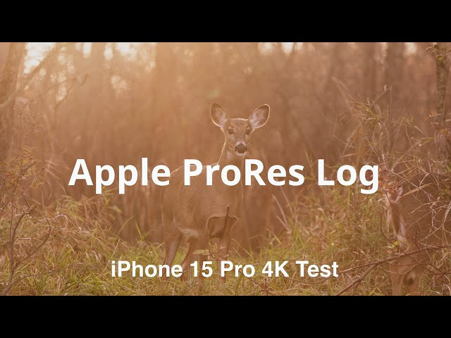 iPhone 15 Pro: A Cinematic Experience — Eightify