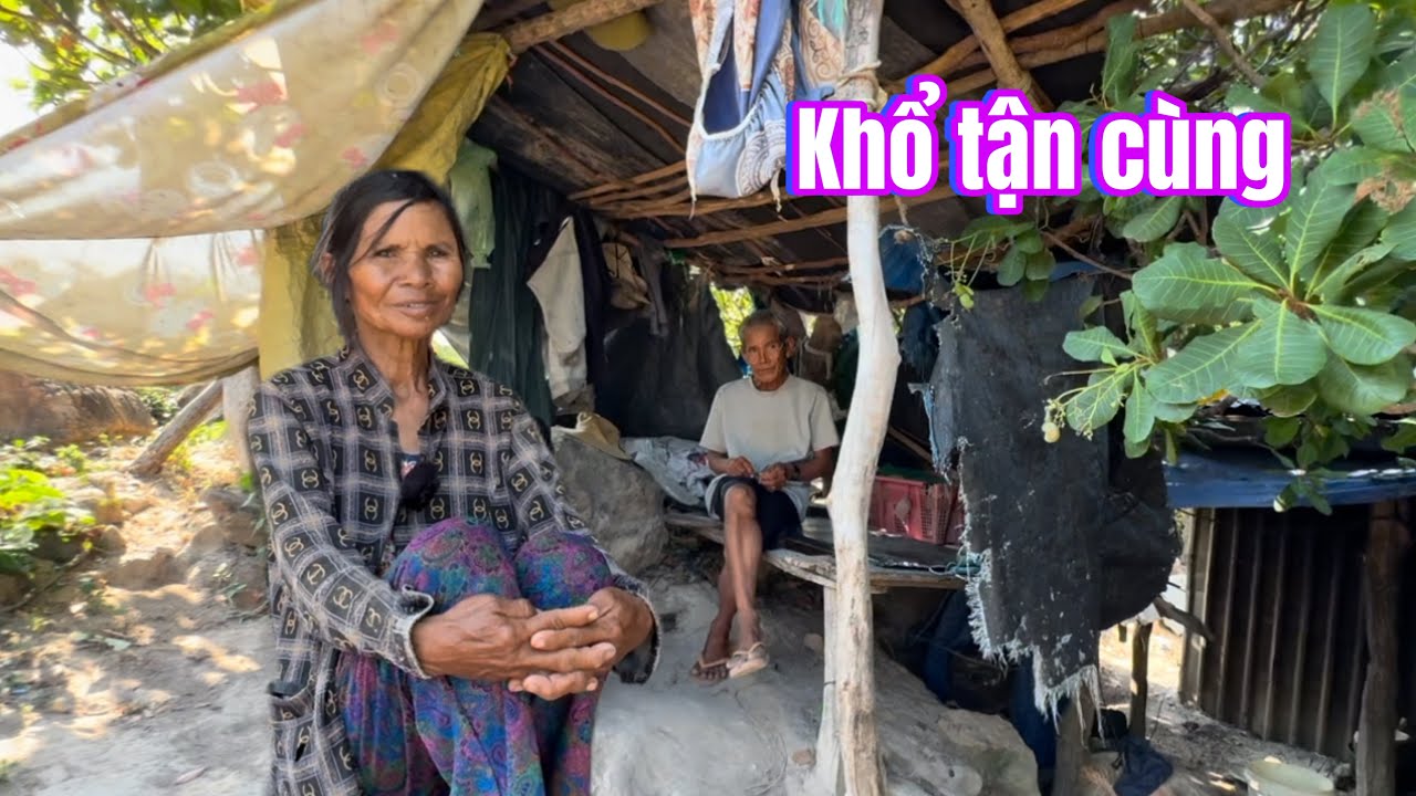 Hai vợ chồng già MỖI NGÀY ĐI LƯỢM NHÔM NHỰA kiếm sống ở rừng quá khổ || 323