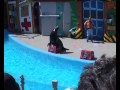 SeaWorld San Diego: Animal show with Clyde, Seamore and Tiny (29-6-2002)