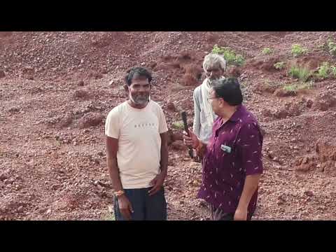 पहाड़ निगल गए माफिया