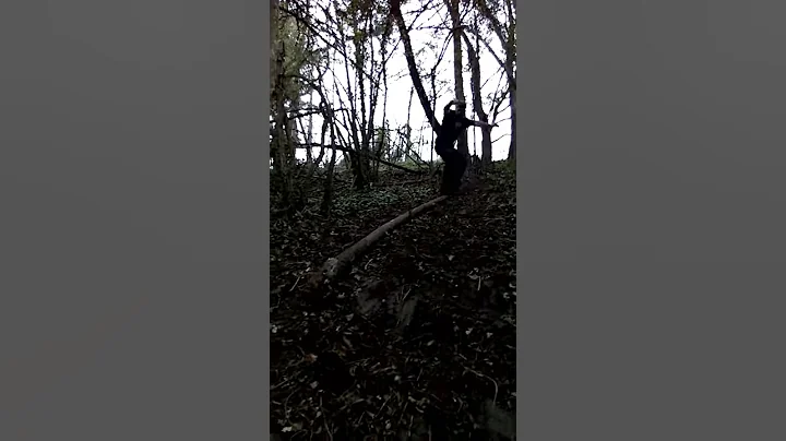 Cobra strike!