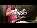 Bodegas muga  clarificacin del vino tinto