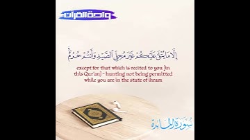 إن الله يحكم ما يريد تلاوة عطرة جميلة من سورة المائدة للقارئ الشيخ محمد صديق المنشاوى رحمه الله
