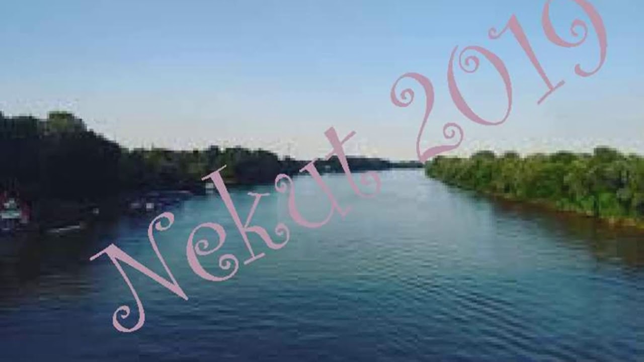 Apinalaulu/Viidakkokirja