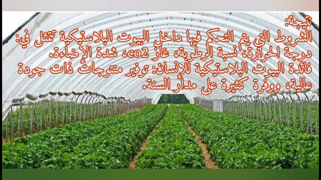 أهمية التحكم في شروط عملية التركيب الضوئي أولى متوسط