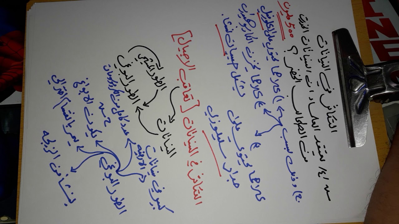 احياء/السادس الاحيائي/التكاثر في النباتات/الاستاذ اسعد الاسدي