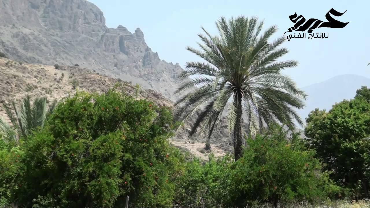 قرية وكــــان - YouTube