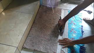cara memasang vislin terbaru untuk baju batik badan depan