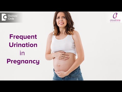 Frequent urination in pregnancy ? Causes & how to manage? - Dr. Lavanya  Kiran