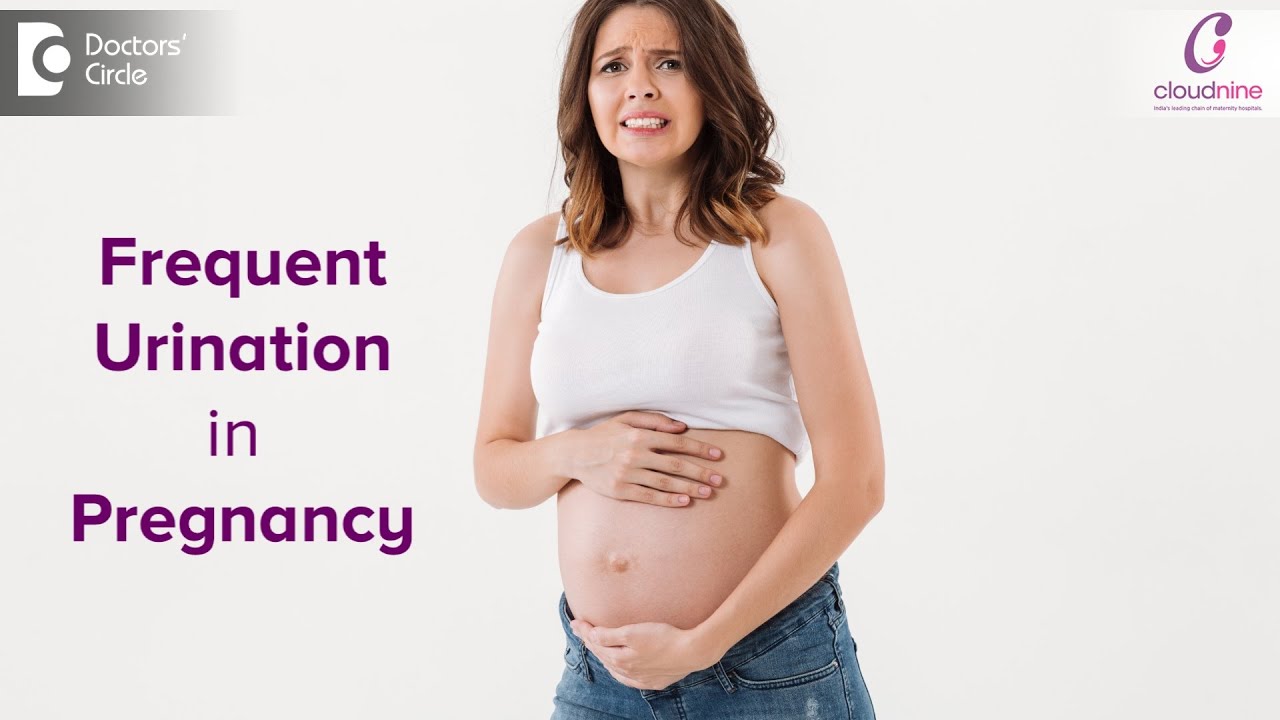 Frequent urination in pregnancy ? Causes & how to manage? - Dr. Lavanya  Kiran