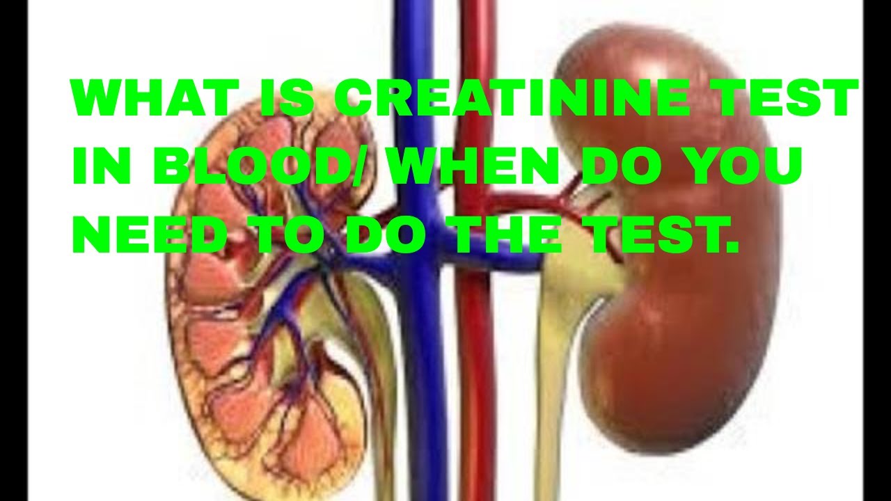 WHAT IS CREATININE TEST IN BLOOD/ WHEN DO YOU NEED TO DO THE TEST