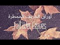 Ambient Sound Effects Fall Wet Leaves اصوات الطبيعة أوراق الخريف الممطرة مطر منهمر 