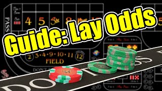 Celebrity How to Lay Odds in Casino Craps Wealth