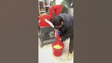 Self-priming pulverizer, a good helper for farmers. #dawnagro #machinery #farmer #discmill