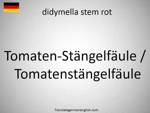 Video: Tomatenstängelfäule