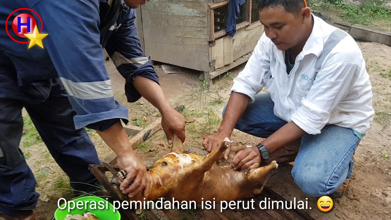 Daging anjing pakai sayur kol - kuliner B1 makanan khas tradisi batak