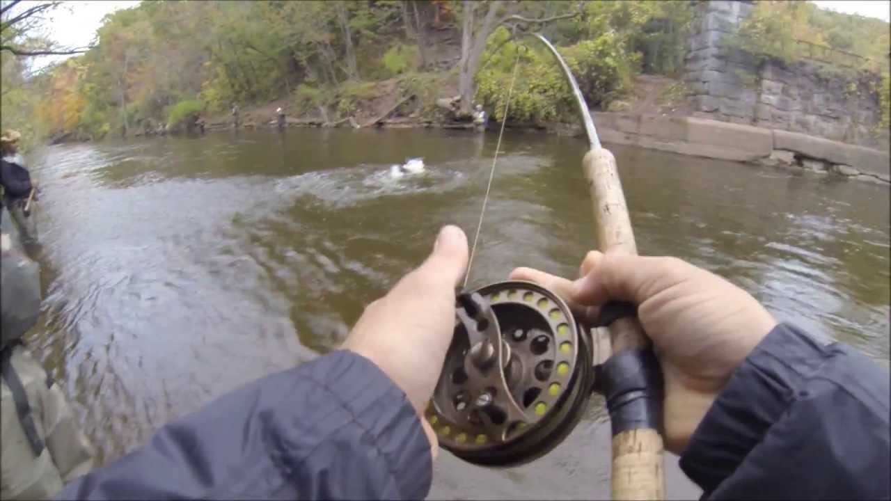 Salmon and Trout Fishing New York YouTube
