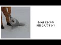 【神回】天才的なボケてにツッコミ入れてみた。【傑作選】【#9】