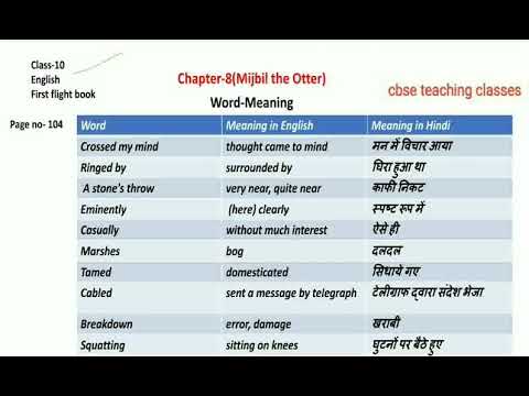 English Class-10, Chapter-8 (Mijbil the Otter) ka word meaning - YouTube