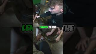 Measuring Our Longest Green Anaconda Snake!
Have you subscribed? Linktree: https://linktr.ee/brianbarczyk
Become A YouTube Member & Get Your Custom Badge: https://www.youtube.com/channel/UC4zS1wbO81p59CxKL7CQAcA/join
Learn ways you can honor Brians Legacy: https://thereptarium.com/pages/brianbarczyk
About Brian Barczyk:
Brian Barczyk was a passionate wildlife enthusiast and vlogger who dedicated his life to sharing his extraordinary journey with animals on YouTube since May 10, 2016. His remarkable adventures led him to be part of TV network series, produce “Brian In The Wild” a documentary in South Africa, travel globally to encounter incredible animals and their advocates, initiate “Checking In” a podcast, establish “AnimalConUSA” a convention for animal content creators and their fans, and create The Reptarium - an interactive reptile zoo in Utica, Michigan, among many many other achievements.
In March 2023, Brian faced the greatest challenge of his life with a diagnosis of inoperable Pancreatic Cancer. His strength, courage, and the unyielding support of the incredible #ReptileArmy community inspired him to continue sharing his story and pursuing his dreams, even in the toughest times.
Brians vision for the LegaSea Aquarium & The Reptarium, a symbol of resilience and the power of dreams, is now a legacy that his crew and family are devoted to bringing to life in his honor. As we break ground on this expanded facility just across the street from The Reptarium, we embrace this mission as a testament to Brians indomitable spirit.
Join Brians crew, family, and the #ReptileArmy in continuing this inspiring journey of discovery, conservation, and hope. As we vlog the LegaSea aquarium build, embark on adventures around the world, and deepen our connection with wildlife, we pay tribute to Brians legacy. Together, we will forge a future where every encounter with the natural world is a moment to inspire, educate, and celebrate the extraordinary tapestry of life that Brian so loved.
#brianstrong Measuring Our Longest Green Anaconda Snake!