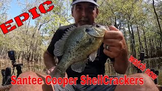 I Sparkle Berry Swamp Fished Santee Cooper Lakes and Caught MONSTERS!