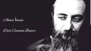 çukur dost Cemal’i benzer güneşe aya