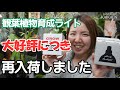 観葉植物　育成ライト　再入荷情報【おうちでグリーン】【おうちでガーデニング】開花園チャンネル