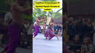 Kumpulan Pertandingan Sejumlah Pepadu Ternama Di Lotim #viral#lombokislandperisaian #peresean