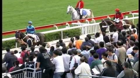 One World and Rocket Man deadheat 2010 Group 2 Cathay Pacific Sprint