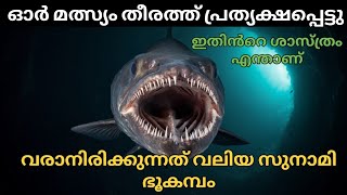 ആഴക്കടലിലെ ഭീമൻ ഓർഫിഷ്: അറിയേണ്ടതെല്ലാം ! Anoop Benny @TENETMALAYALAM