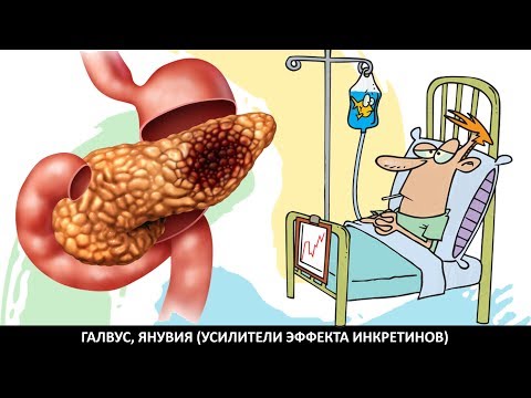 НУЖНО ЛИ ГАЛВУС, ЯНУВИЯ ДЛЯ ЛЕЧЕНИЯ ДИАБЕТА 2 ТИПА? НУЖНО ЛИ ГАЛВУС, ЯНУВИЯ ДЛЯ ЛЕЧЕНИЯ ДИАБЕТА 2 ТИПА?