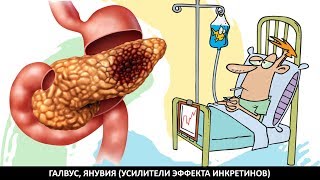 НУЖНО ЛИ ГАЛВУС, ЯНУВИЯ ДЛЯ ЛЕЧЕНИЯ ДИАБЕТА 2 ТИПА? НУЖНО ЛИ ГАЛВУС, ЯНУВИЯ ДЛЯ ЛЕЧЕНИЯ ДИАБЕТА 2 ТИПА?