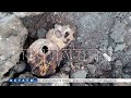 Множество человеческих останков обнаружено при ремонте теплотрассы в Большом Мурашкино