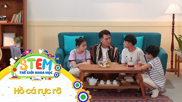 STEM Thế Giới Khoa Học - Tập 17: Hồ Cá Rực Rỡ