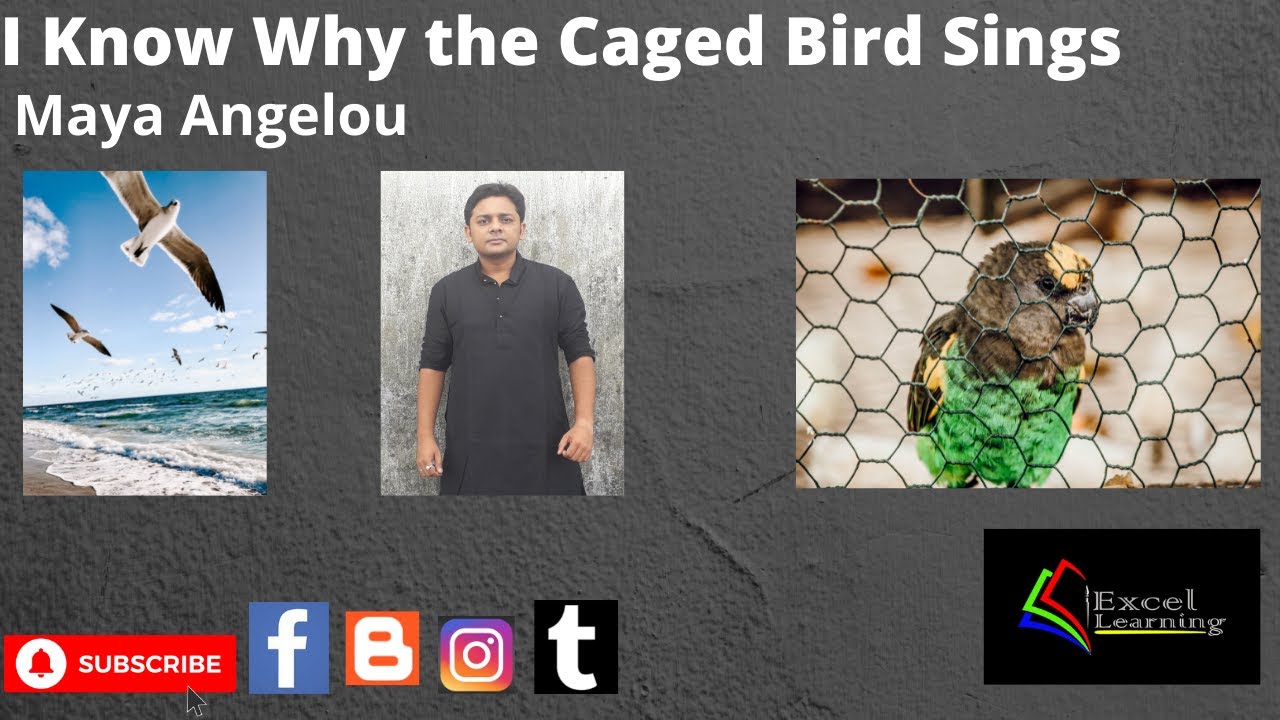 I Know Why the Caged Bird Sings Maya Angelou ICSE class 10