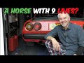 Oil in the coolant - the last straw for my cheap Ferrari?